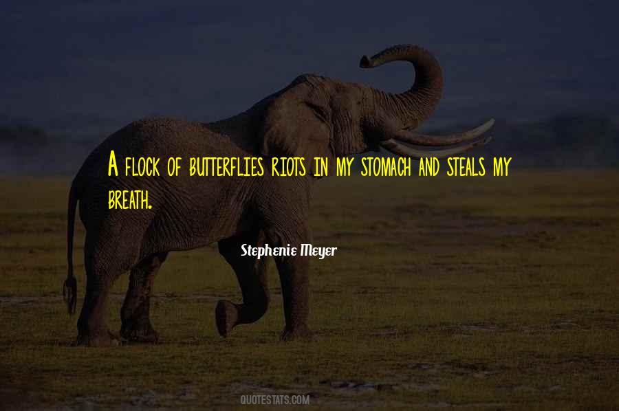 Dubbel Boekhouden Quotes #1702775
