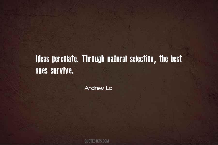 Spiritual Tourism Quotes #273736