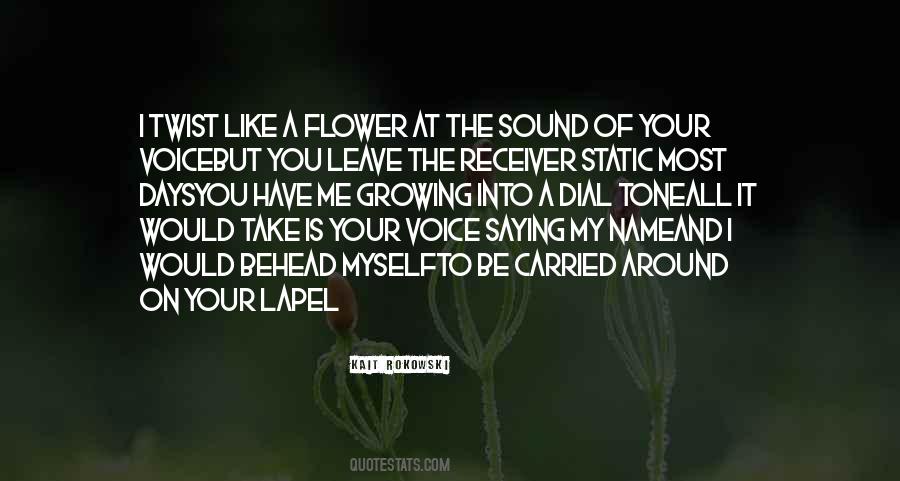 Sound Of Your Voice Quotes #1166091