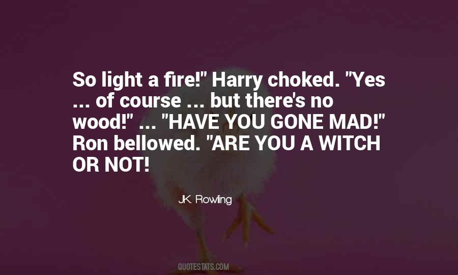 Are You Mad Quotes #442265