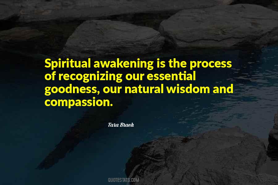 Spiritual Process Quotes #1064476
