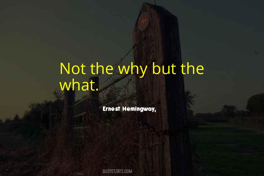 The Why Quotes #1673915