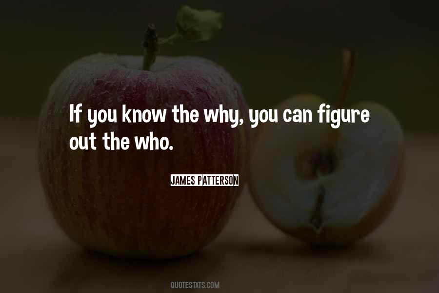 The Why Quotes #246056