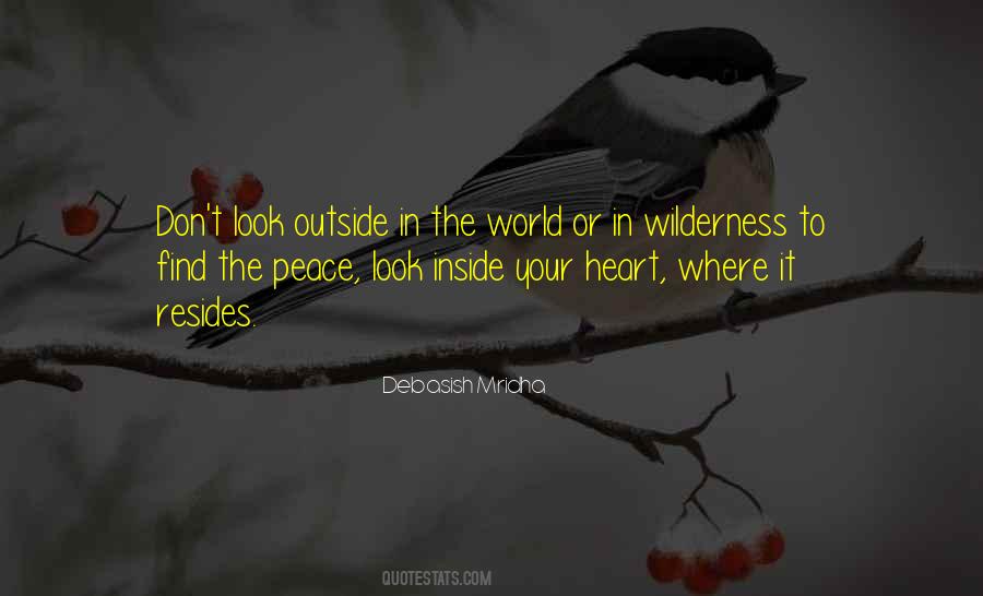 Wilderness Wisdom Quotes #866962