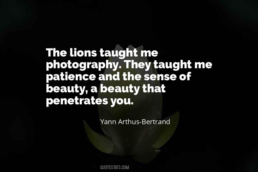 Quotes About The Photography #87312