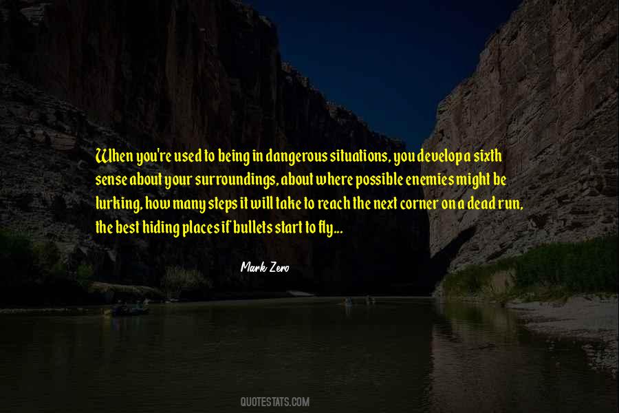 Ildefonso Flores Quotes #864117