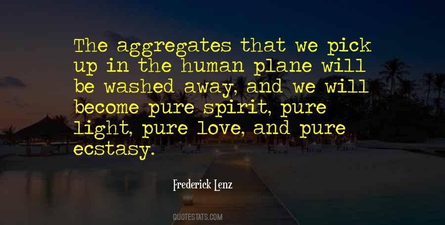 We Are Pure Light And Pure Love Quotes #468103