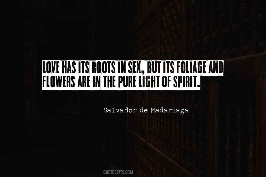 We Are Pure Light And Pure Love Quotes #856460