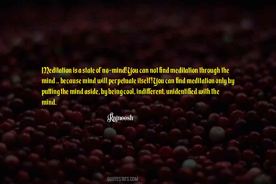 Perspicaz Diccionario Quotes #614782