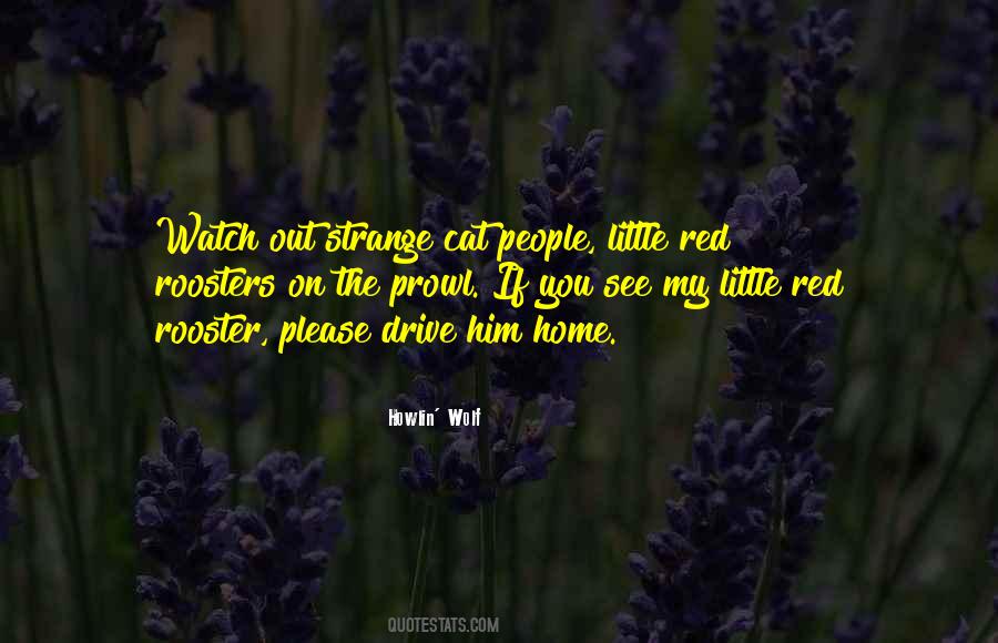 Him Home Quotes #1313503