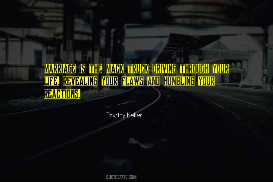 Scarfone Labradors Quotes #1732210