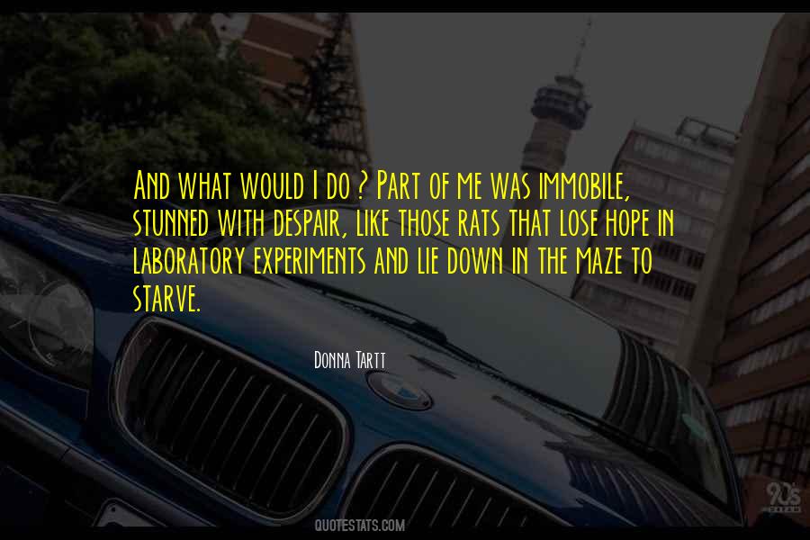 Despair Hope Quotes #334048