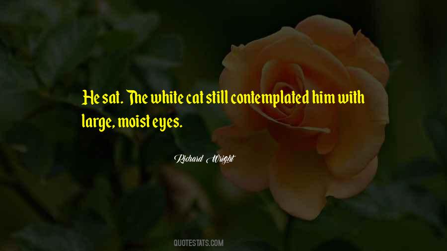 Aldonza Villalobos Quotes #1451909