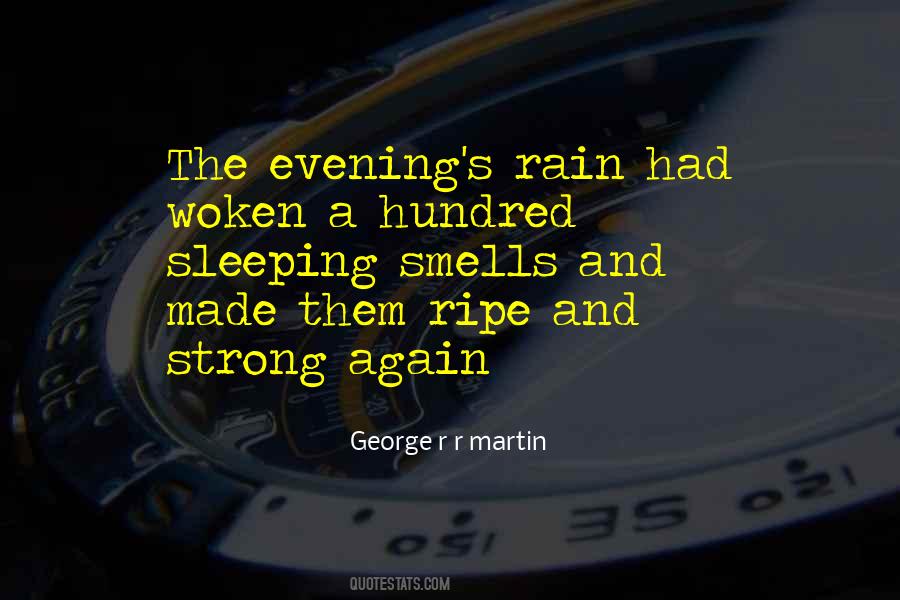 Merwan Achibet Quotes #1058937
