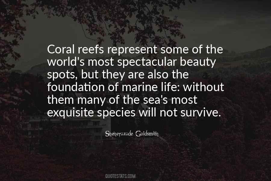 Coral Sea Quotes #593426