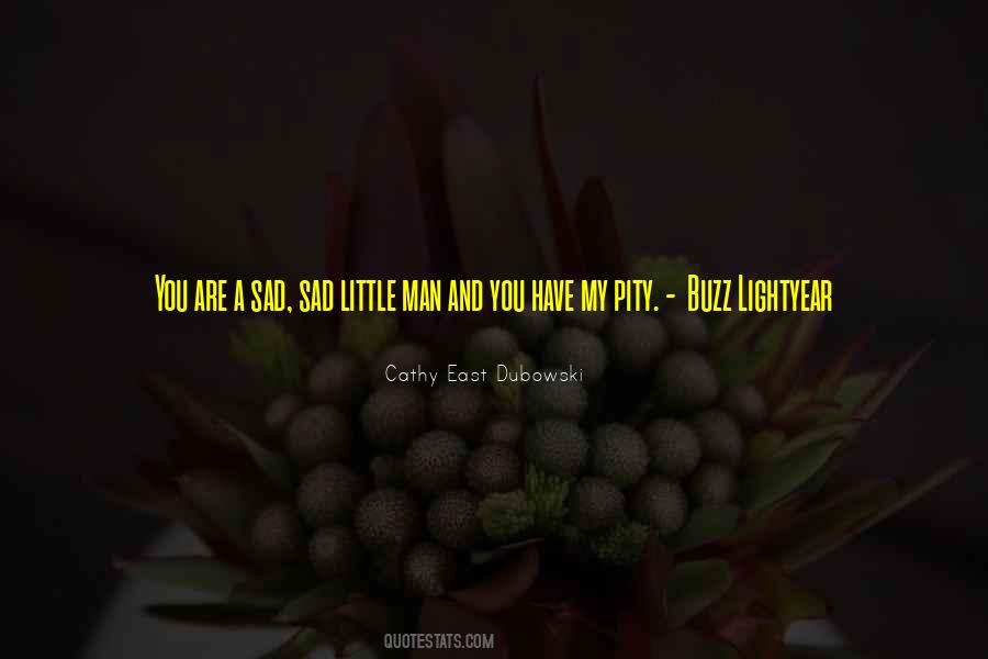 Miyasato Surquillo Quotes #732753