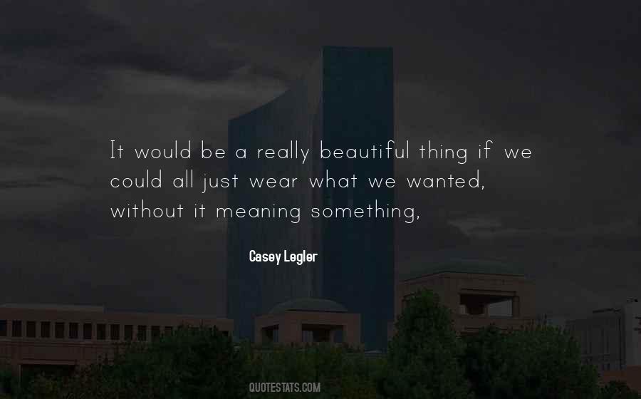 What We Wanted Quotes #643349