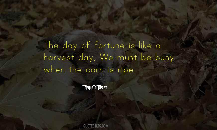 Corn Harvest Quotes #817261