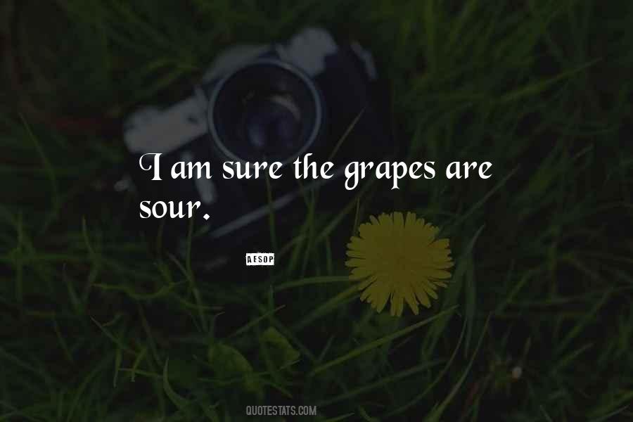 Saleha Beauty Quotes #1755372
