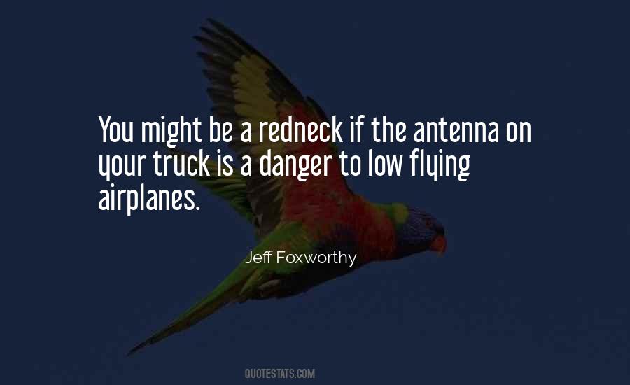 Low Flying Quotes #872539