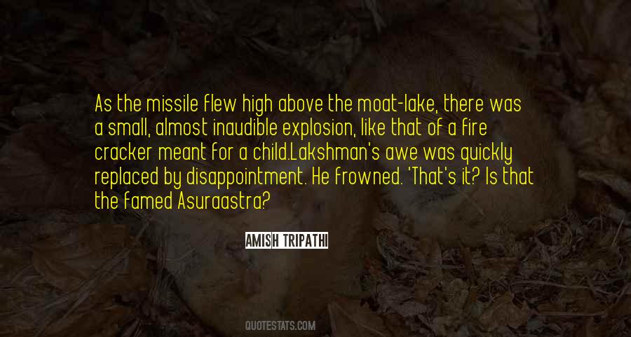 Mikheil Javakhishvili Quotes #1497431