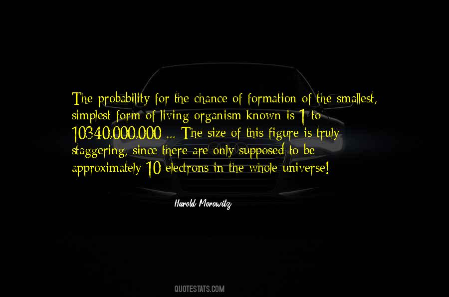 Homeyer Consulting Quotes #205034