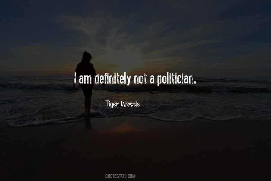 I Am Not A Politician Quotes #1709414