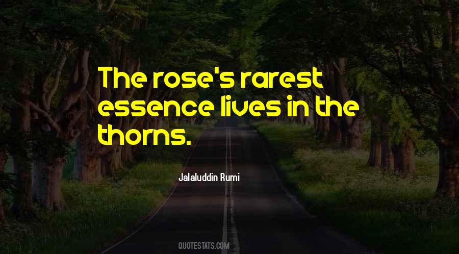 Majeroni Orthodontics Quotes #1363193