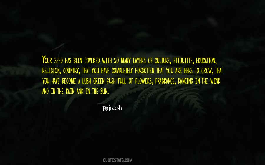 Diziler Vostfr Quotes #1652481