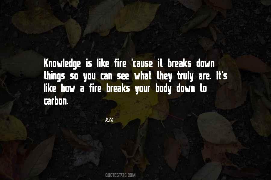 Brachiopod Vs Bivalve Quotes #697663