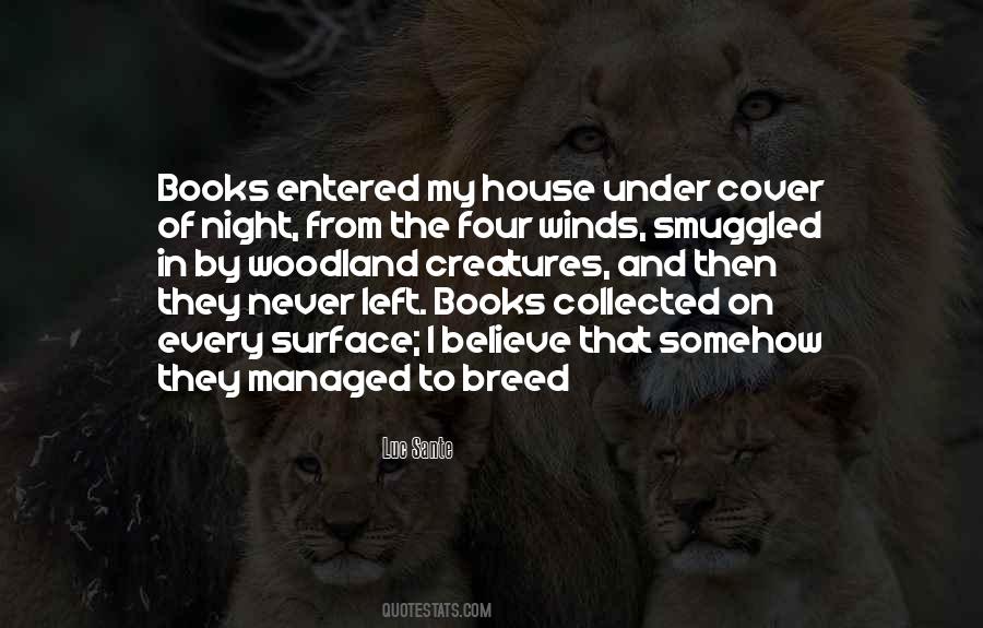 Elizabeth Hinton Quotes #285945