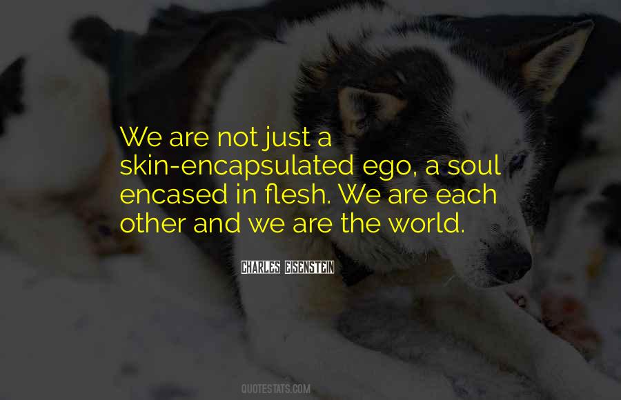 Wisdom Teachings Quotes #783518