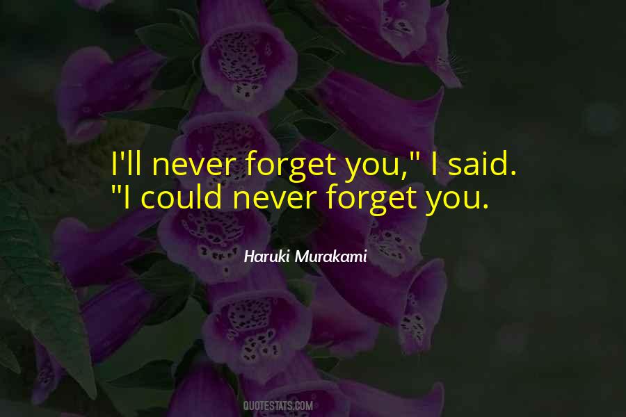 Could Never Forget You Quotes #1609595