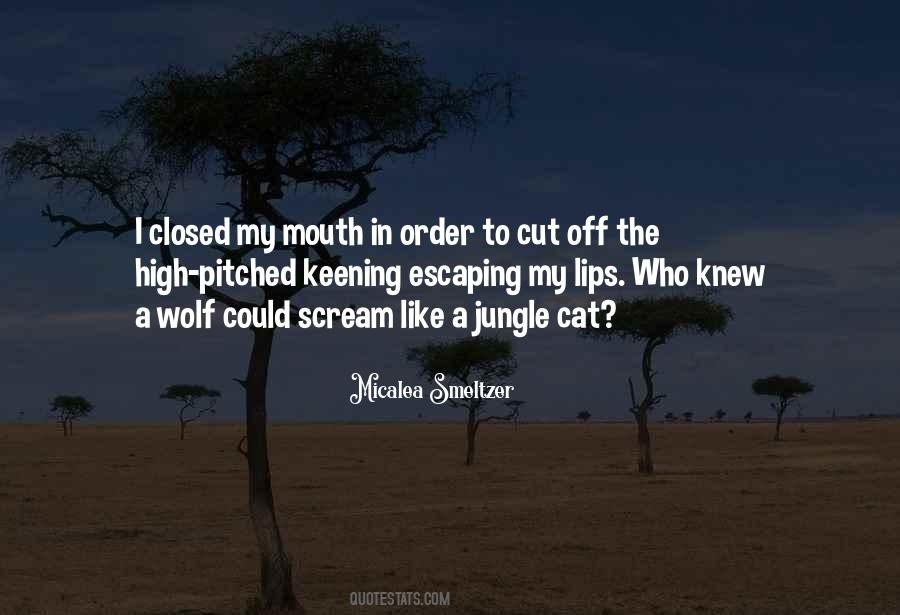 Could Scream Quotes #1521704