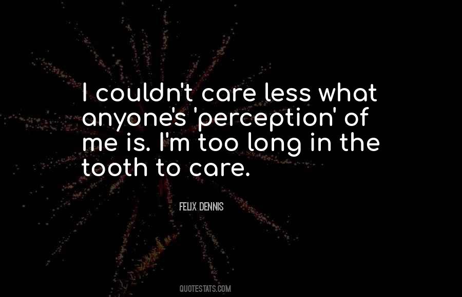 Couldn't Care Quotes #235570