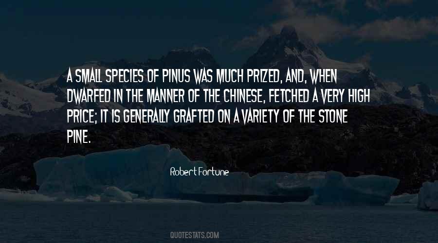 Nicolaysen Art Quotes #1102805
