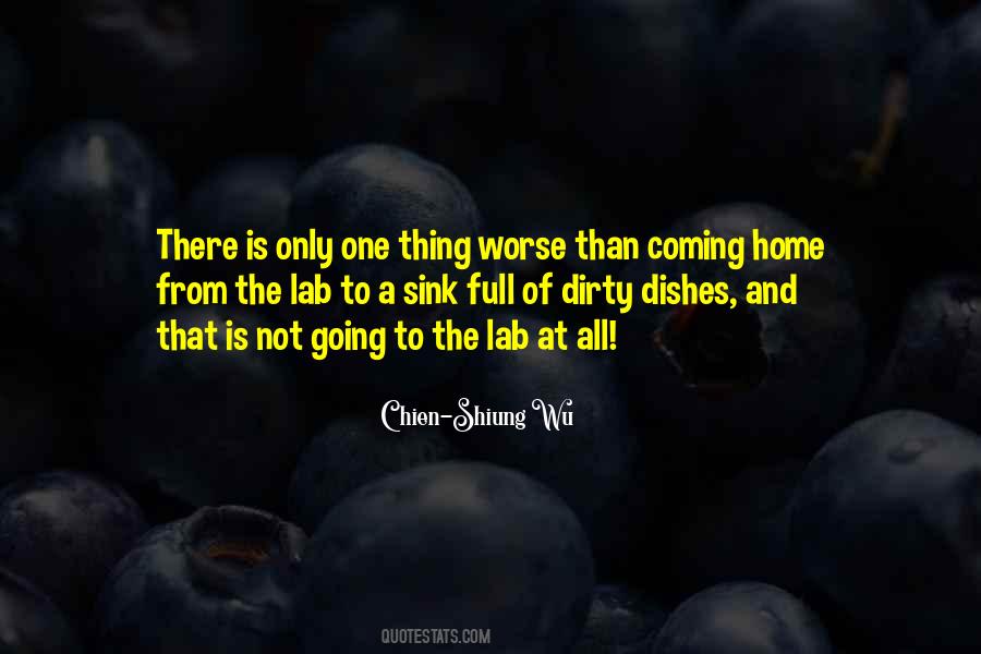 Quotes About Lab #959411