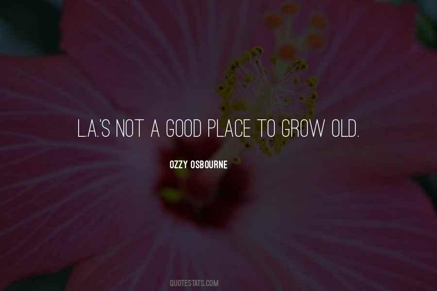 Breezepaw Warrior Quotes #1367288