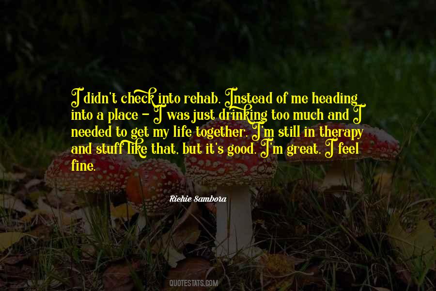 Good Drinking Quotes #927740
