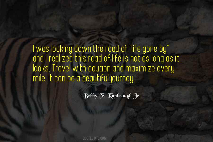 Life Is A Beautiful Journey Quotes #1155138