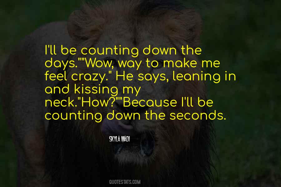 Counting The Days Until I See You Again Quotes #1038725