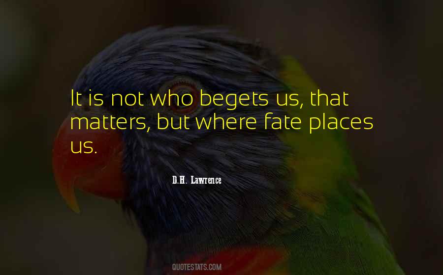 Kalani Miller Quotes #1149985