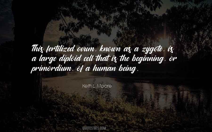 Esmate Quotes #602761