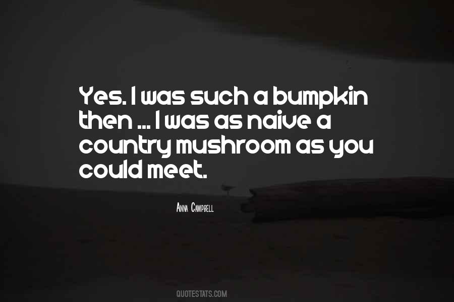country bumpkin sayings country bumpkin sayings