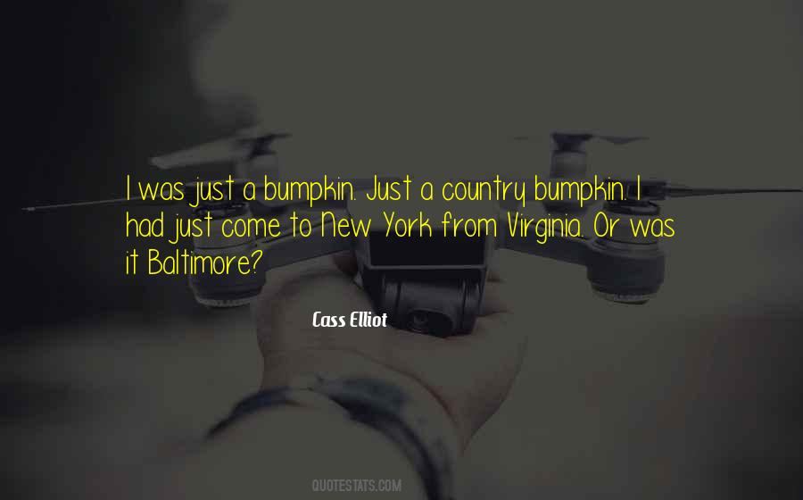 Country Bumpkin Quotes #1671965