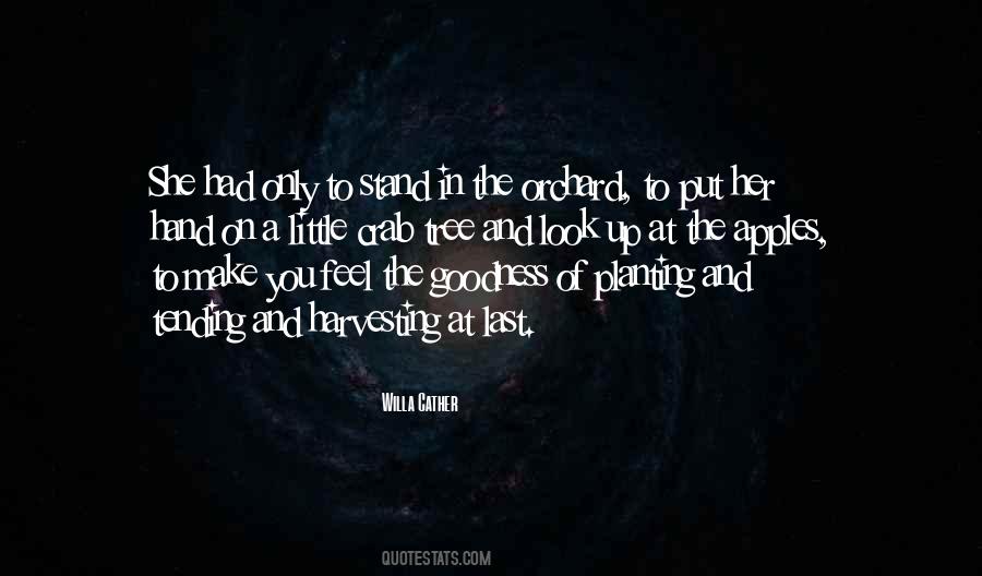 Trillionaire Worlds First Quotes #1186367