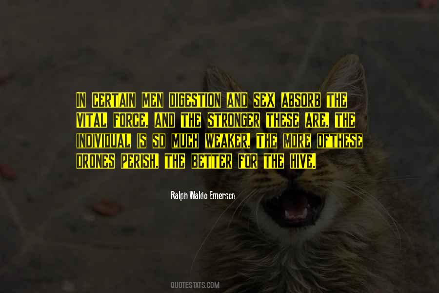Adonay Porque Quotes #1563270