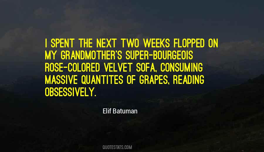 Batuman Elif Quotes #916360