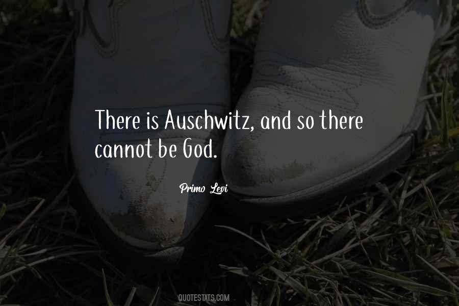 Parachuting Accident Quotes #278194
