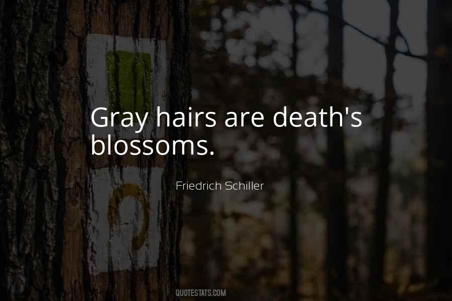 Gray Hairs Quotes #311953